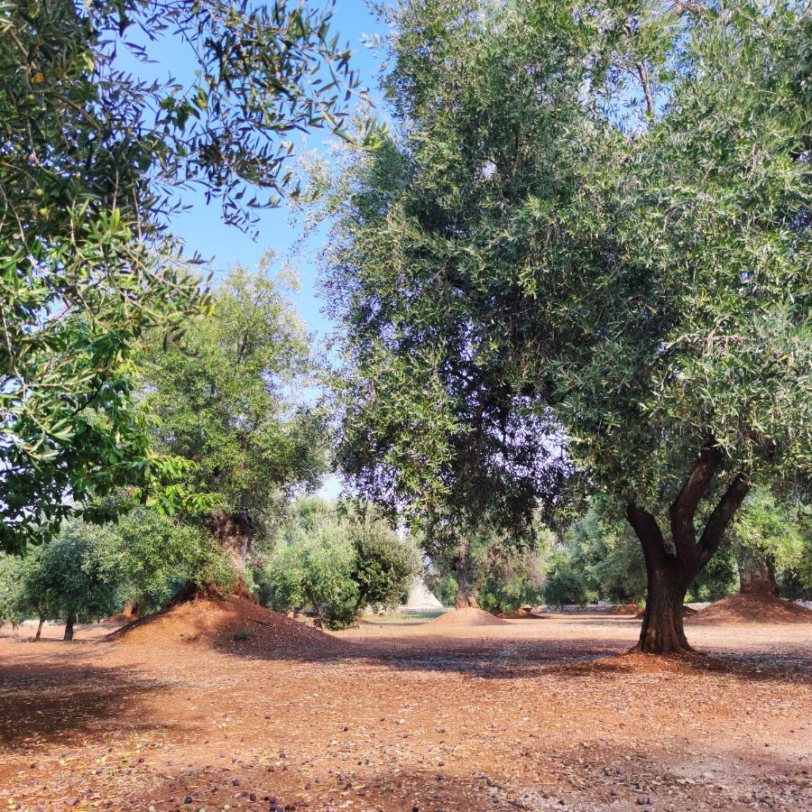 Masseria La Foggia Fasano Exterior photo
